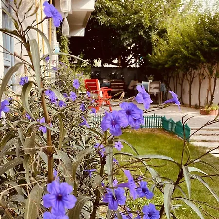 Mina By Adda Alacati Hotel Çeşme